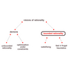 Bounded Rationality Software (Advanced)