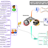 Brainstorming (MBA)