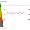 Brand Performance Software