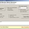 Bulk Random Name Generator