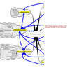 Business Functions Map Software