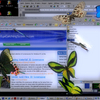 Butterfly Desktop 3D Screensaver