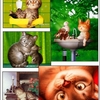 Cartoon Cats Screensaver 2