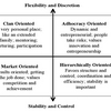Changing Organizational Cultures (MEGA)