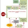Climate Change Effects Software