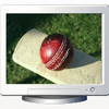 Cricket Screen Saver