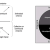 Cultural Intelligence Software