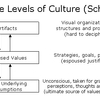 Culture Levels (MBA)