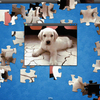 Cute Puppu Puzzle