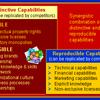 Distinctive Capabilities (MBA)