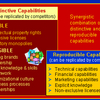 Distinctive Capabilities Software