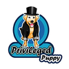 dog grooming supplies