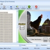 DVD Ripper Tool