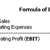 EBIT Earnings Before Interest Tax (MBA)