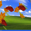 EIPC Autumn Leaves Screensaver