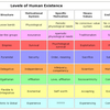 Emergent Levels of Existence (MBA)