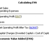 EVA Economic Value Added (MEGA)