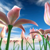 Flowers Meadow 3D