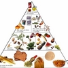 Food Pyramid Animated Diete Screen Saver