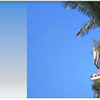 Fort Lauderdale Homes