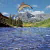 free 3D Dolphin Aqua