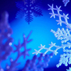 Free Christmas Light Screensaver