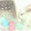 Free Happy Easter Screensaver