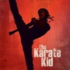 Free Karate Kid 2010 Screensaver