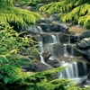 Free Living Waterfall