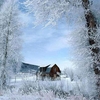 Free Snowy Winter Screensaver