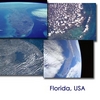 From Space to Earth - Florida