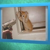 Funny Pictures