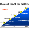 Greiner's Growth Model, Curve Software