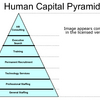 Human Capital Pyramid Software