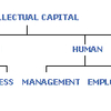 IC Rating (MBA)
