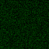 Infected Screen Saver