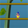 Jungle Dave