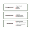Managerial Roles Software (Advanced)