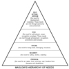 Maslow Hierarchy (MBA)