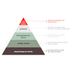 Maslow Needs Software (Advanced)