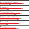Maximise Shareholder Value (MBA)