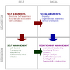 Mayer Emotional Intelligence (MEGA)