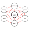 McKinsey Seven S Software (Advanced)