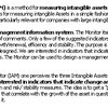 Measuring Intangible Assets (MBA)