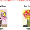 Mothers Day Flowers 2008