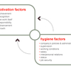 Motivation Hygiene Software