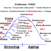 PAEI Software