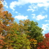 Perfect Autumn Screensaver
