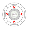 PEST Analysis Software (Advanced)