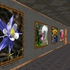Phota Flowers Screensaver